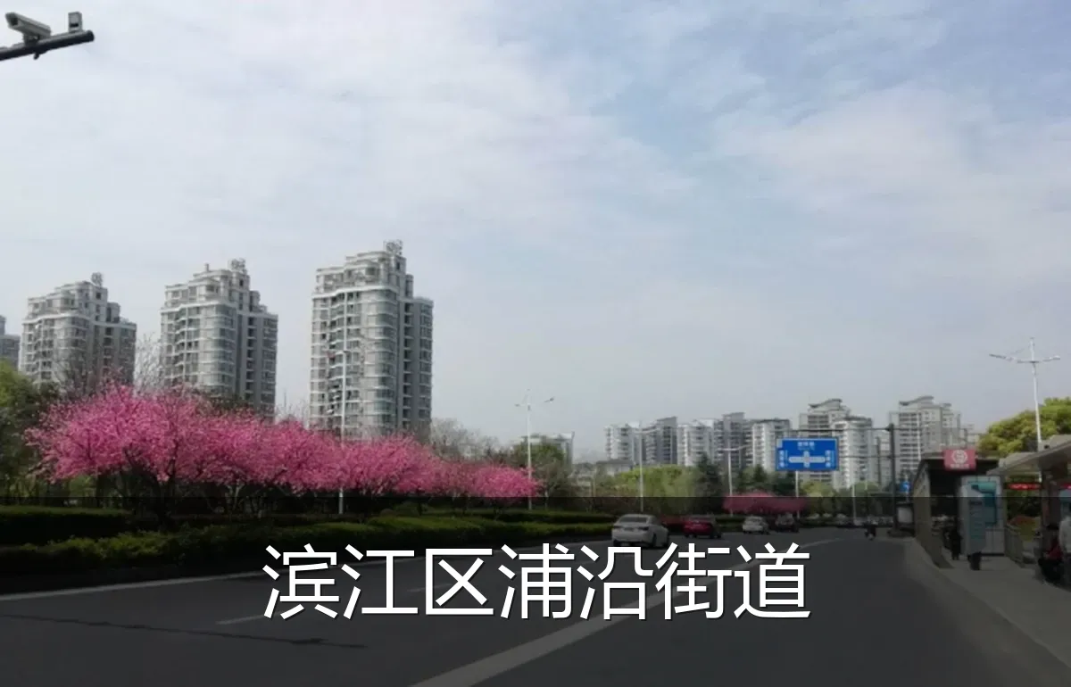 滨江区浦沿街道