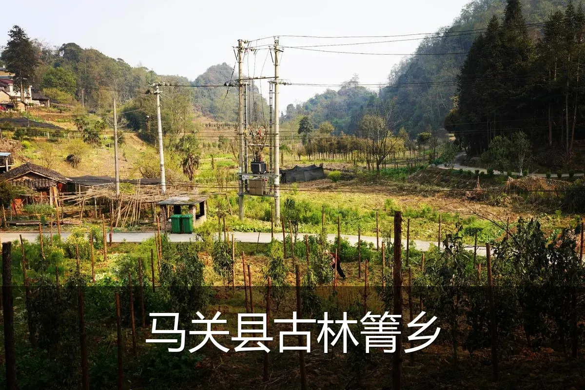 马关县古林箐乡