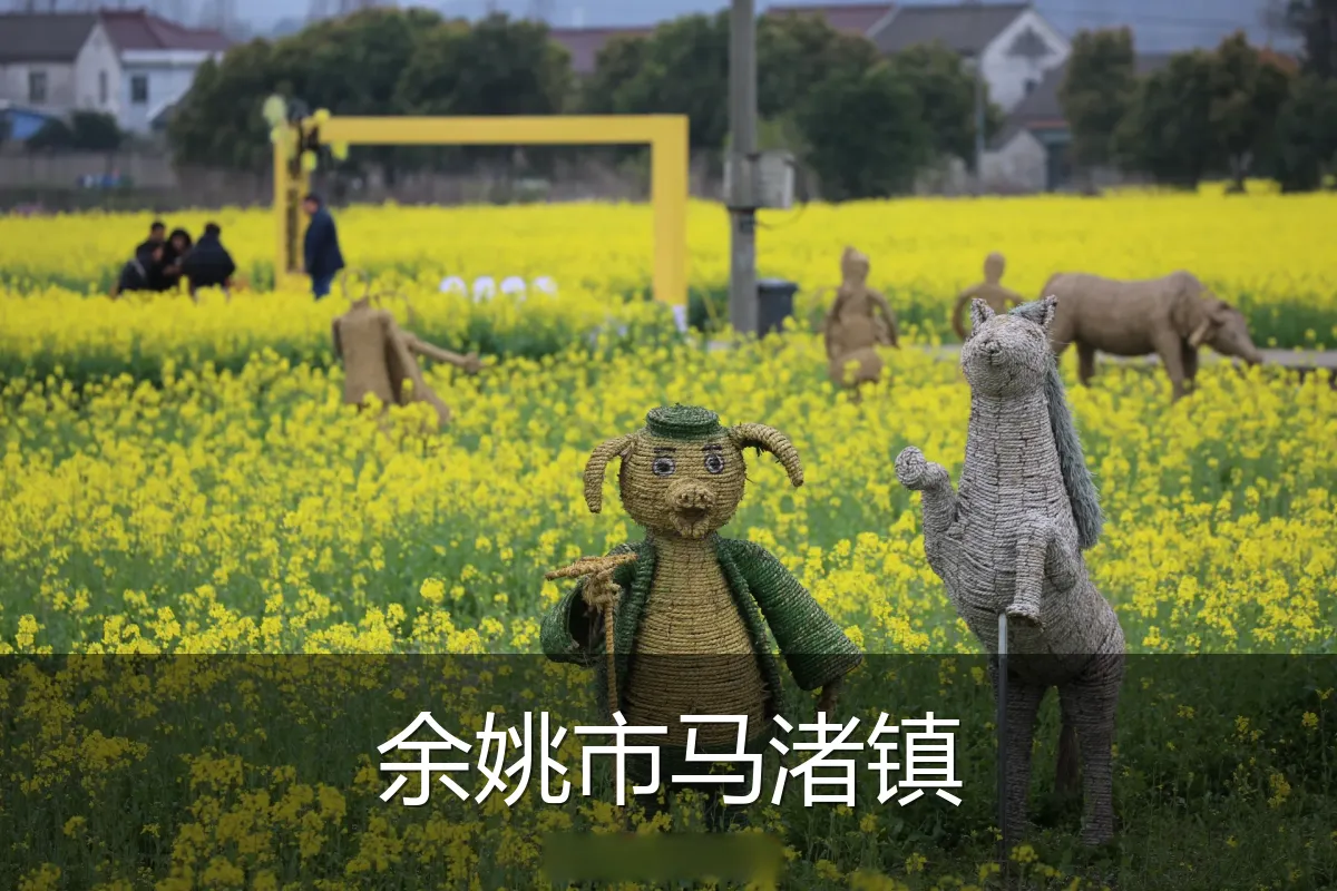 余姚市马渚镇