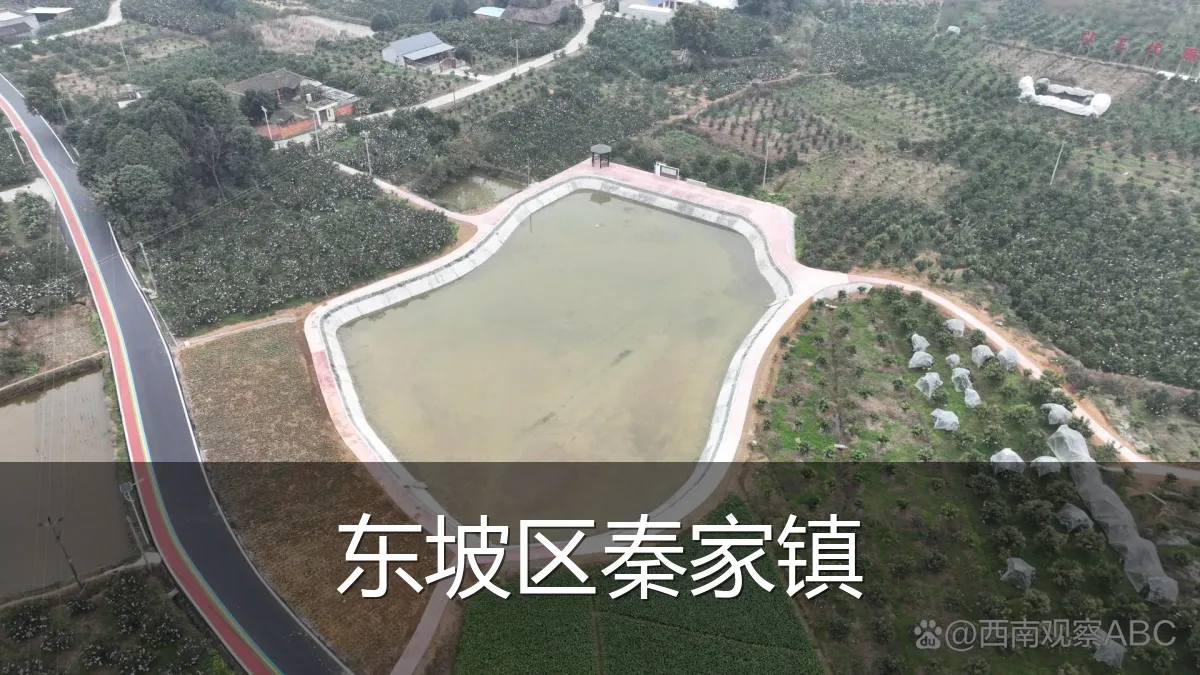 东坡区秦家镇