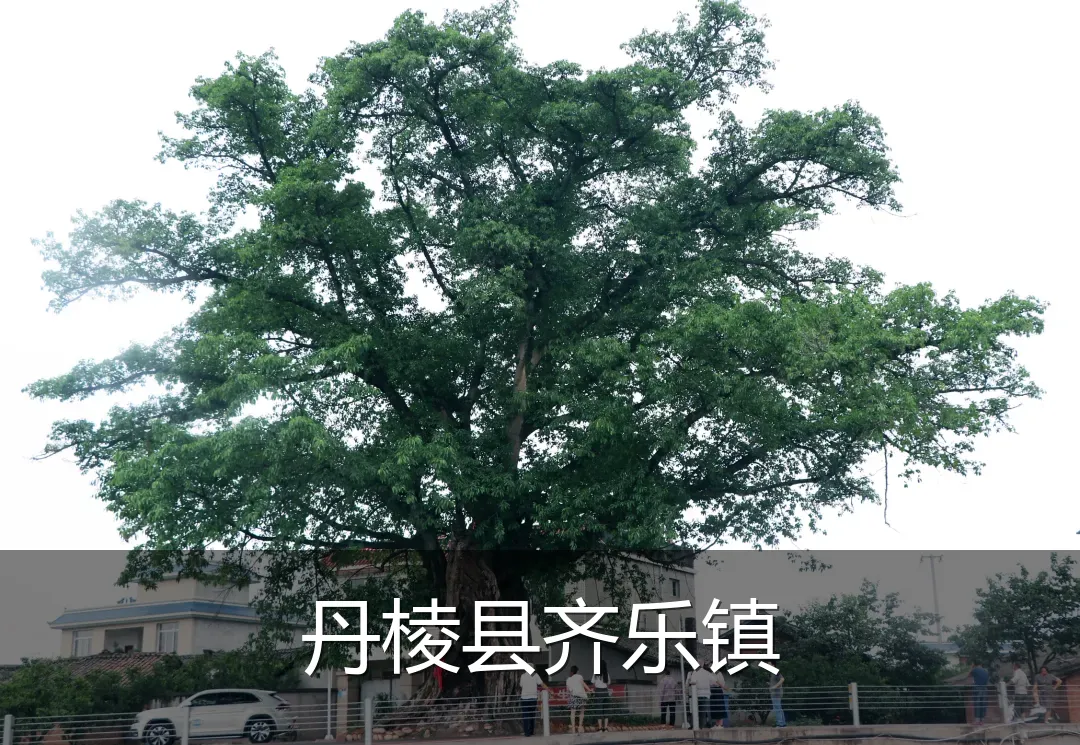 丹棱县齐乐镇