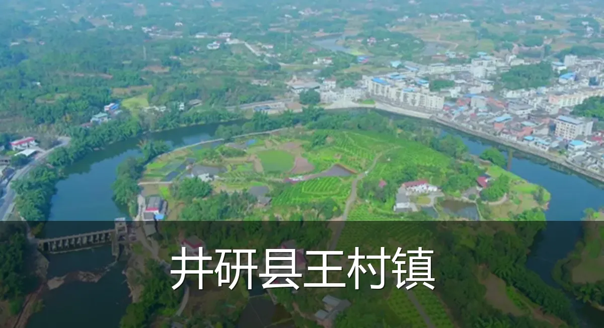 井研县王村镇