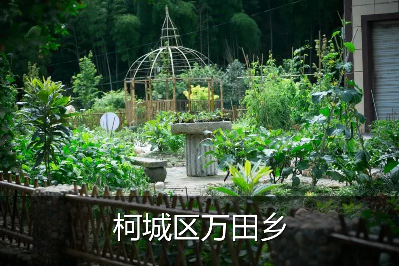 柯城区万田乡