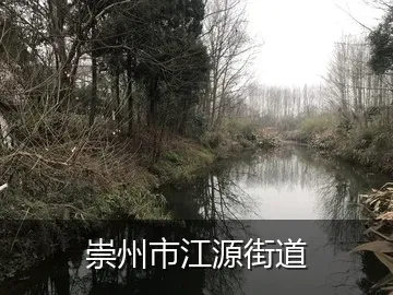 崇州市江源街道