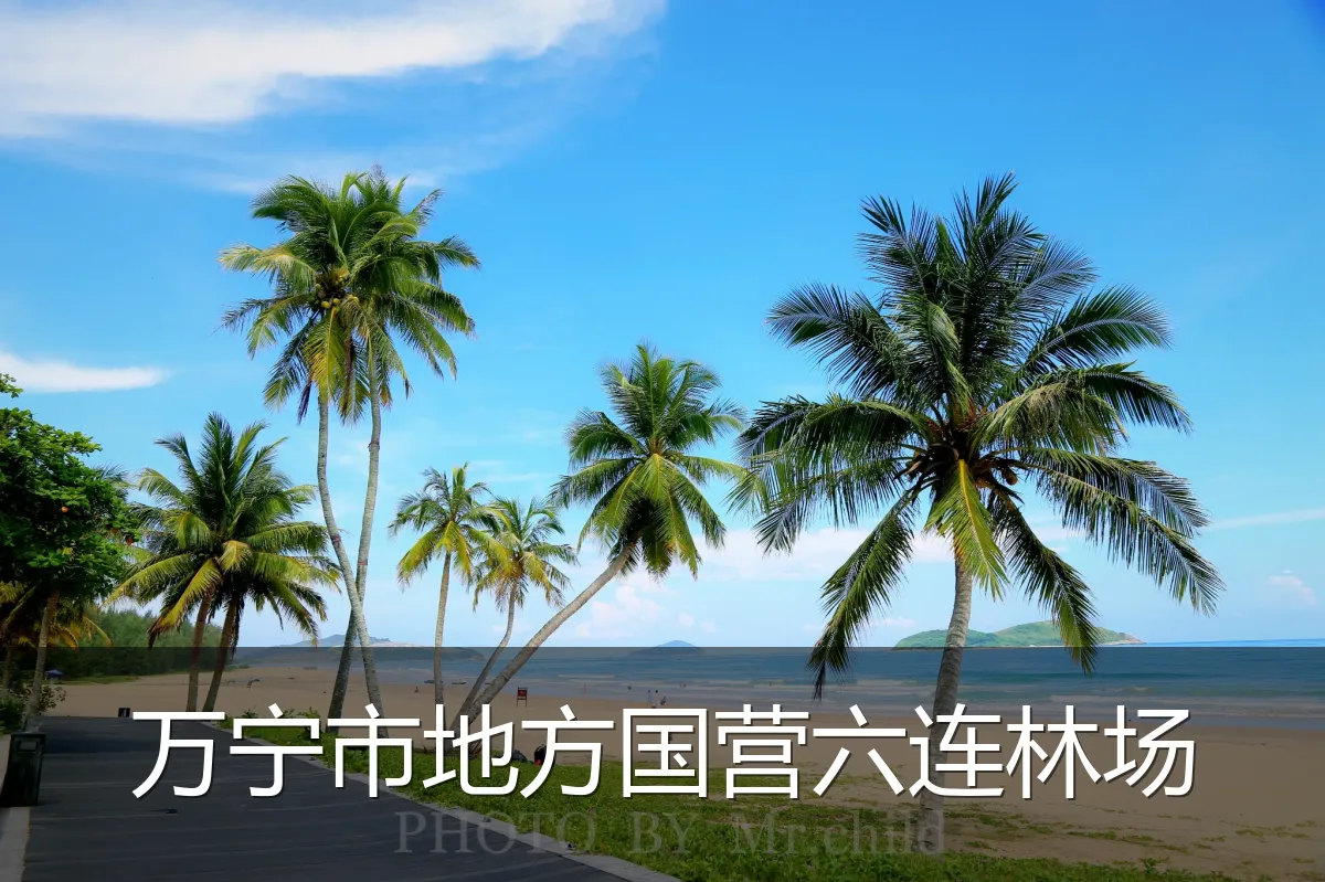 万宁市地方国营六连林场
