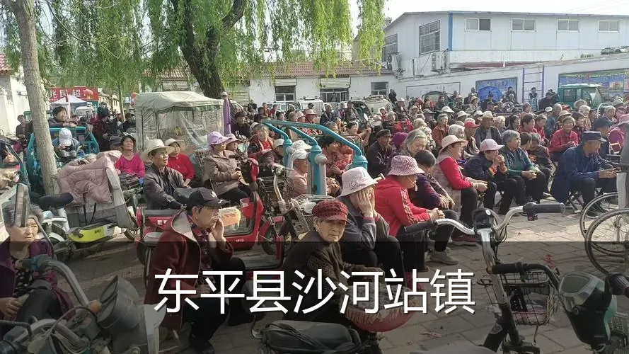 东平县沙河站镇