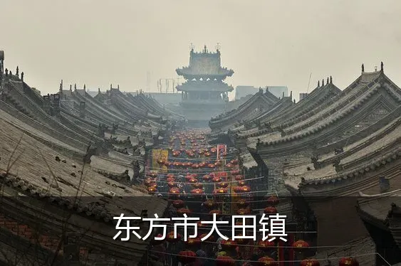 东方市大田镇