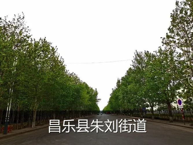昌乐县朱刘街道
