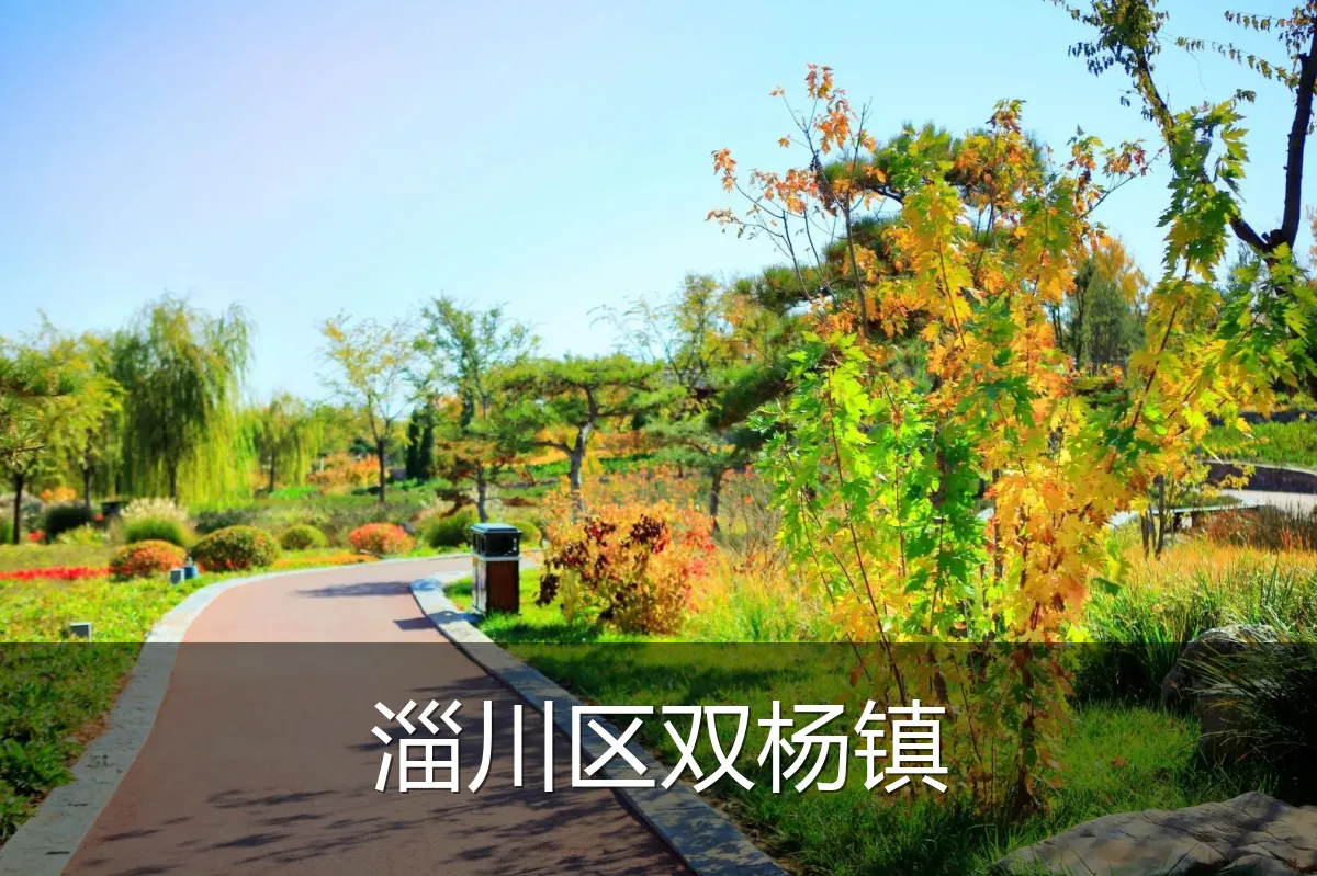 淄川区双杨镇