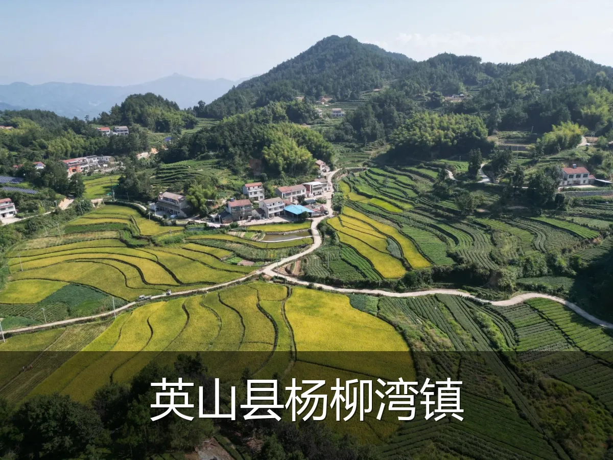 英山县杨柳湾镇