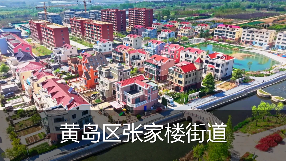 黄岛区张家楼街道
